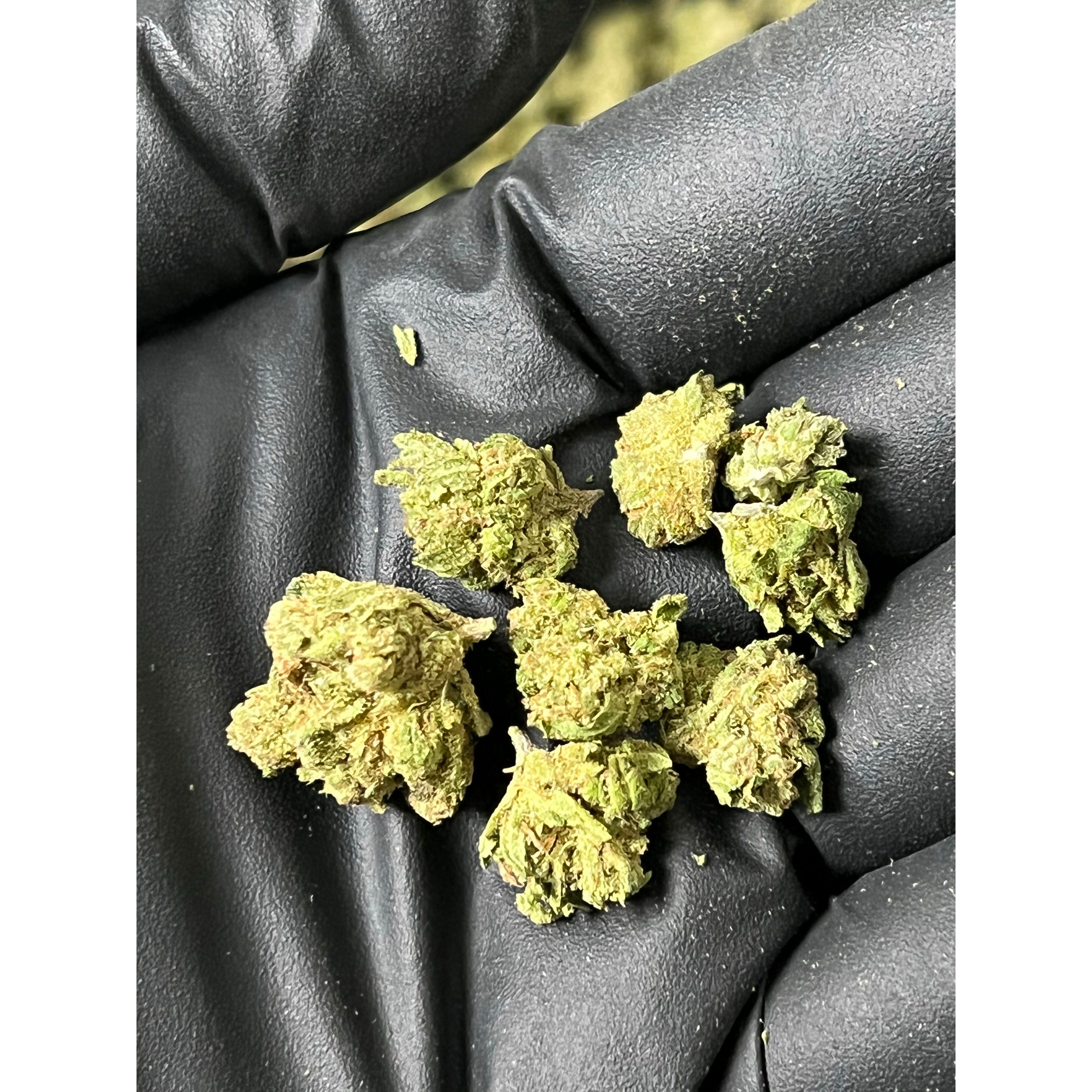 Dutch Delight Smalls